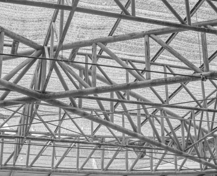 Untitled design (71)